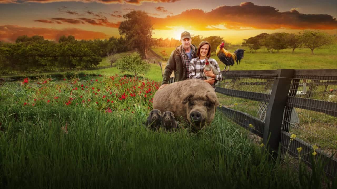 Histórias de Resiliência: A Força das Mulheres em 'When Calls the Heart' - inspiração 2