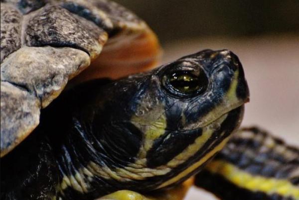 Hidratação Constante: Água Fresca Sempre - inspiração 1