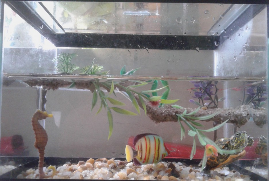 Observando Sinais de Saúde: O Que é Normal e o Que Preocupar? - inspiração 1