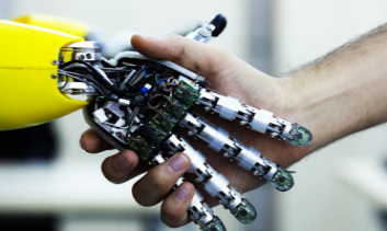 Crescimento Profissional: Para Onde Ir? - inspiração 1