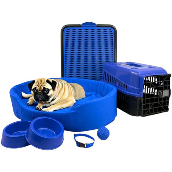 coleiras pet