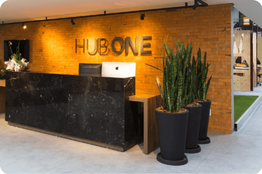 Branding e Redes Sociais: Agências que se destacam em Joinville