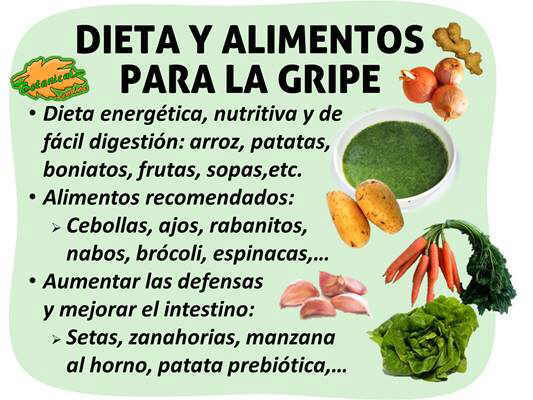 Alimentos Que Combatem A Gripe
