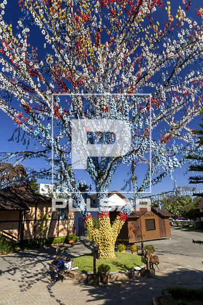 Guia Completo: Como Montar Sua Própria Osterbaum em Casa