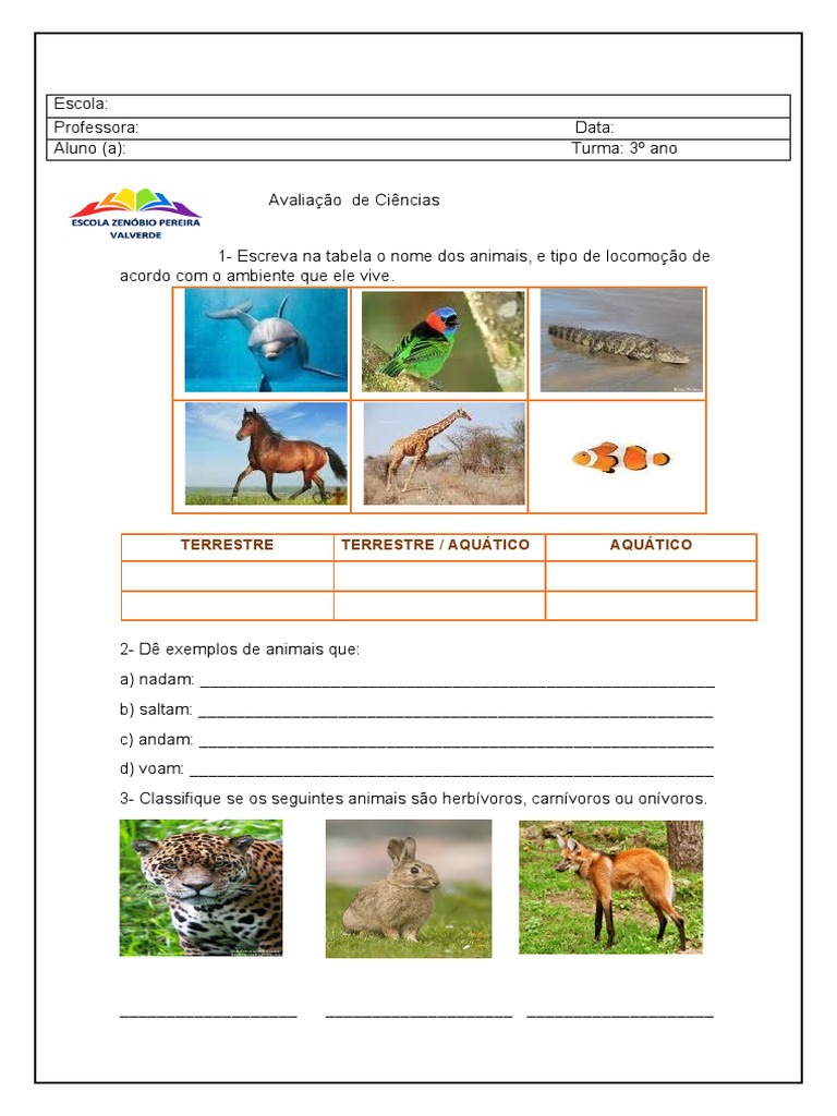 exercícios sobre animais para 3º ano fundamental