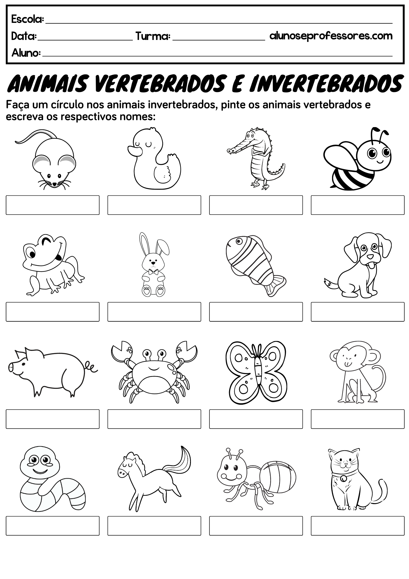 classificação de animais 3 ano atividades