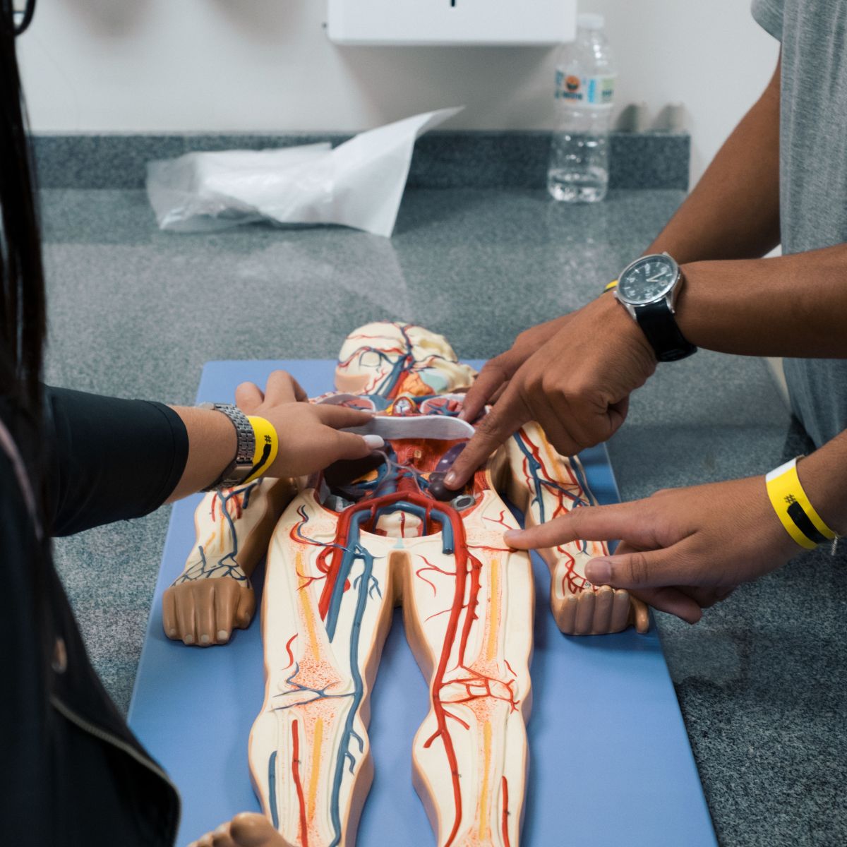 bolsa marketing cruzeiro do sul vs outras faculdades