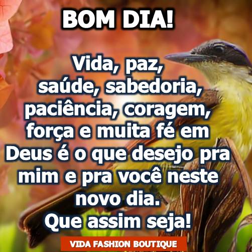 frases de bom dia para dar ânimo