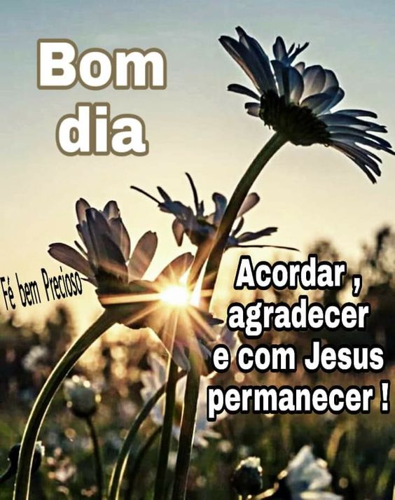 palavra de deus para o dia
