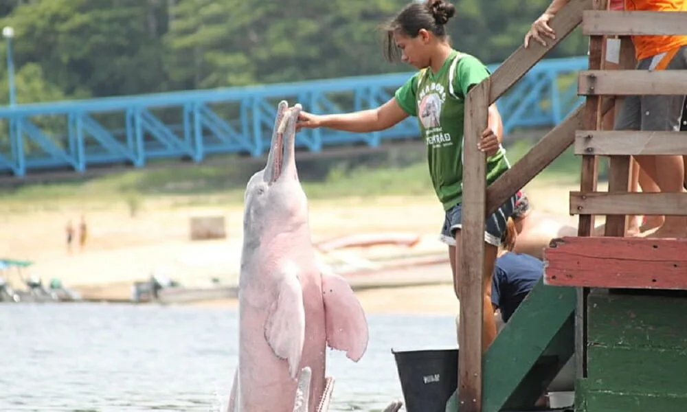 Roteiro de 3 dias em Manaus: Explorando a Amazônia