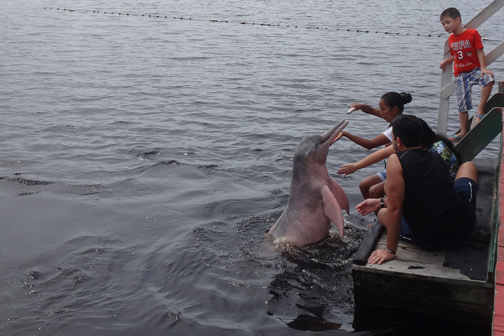Dicas de Segurança para Passeios na Amazônia