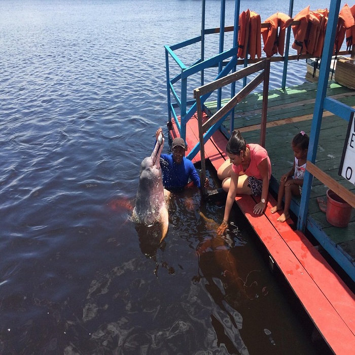 Os Melhores Restaurantes de Manaus para Saborear a Culinária Local