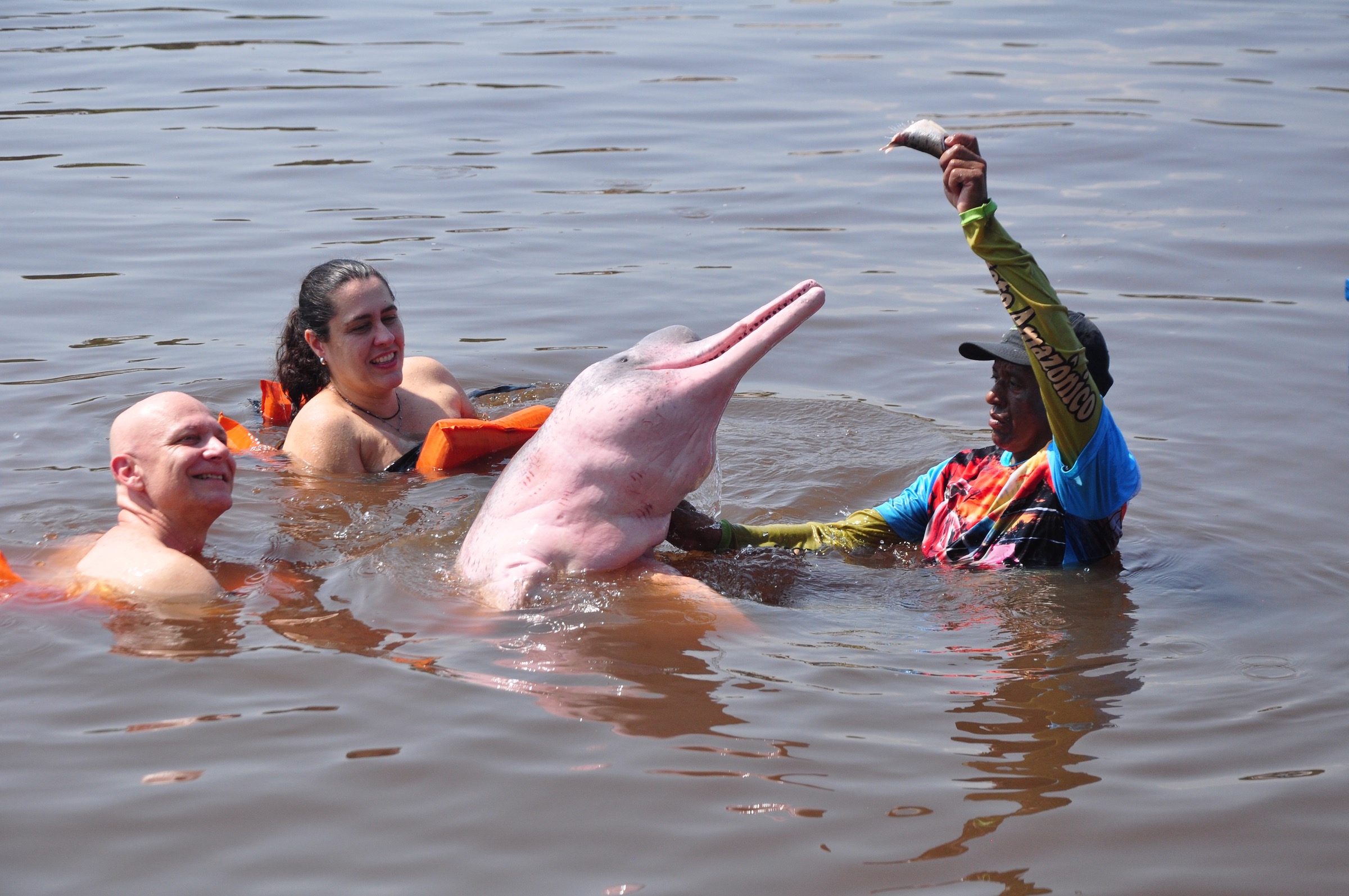 Dicas de Segurança para Passeios na Amazônia