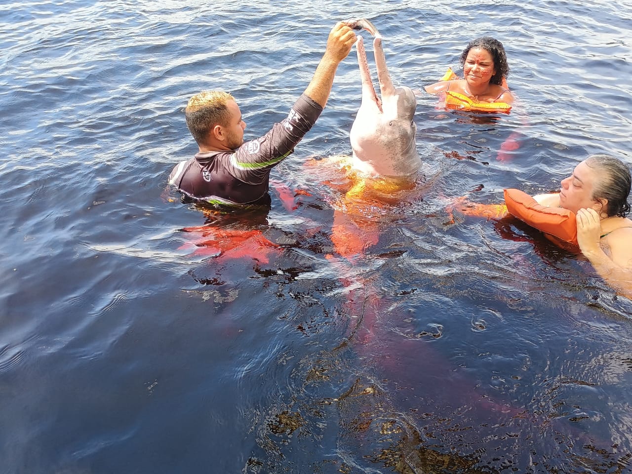 Roteiro de 3 dias em Manaus: Explorando a Amazônia