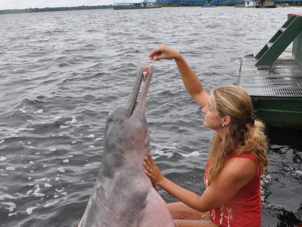 Vida Noturna em Manaus: Bares e Baladas Imperdíveis