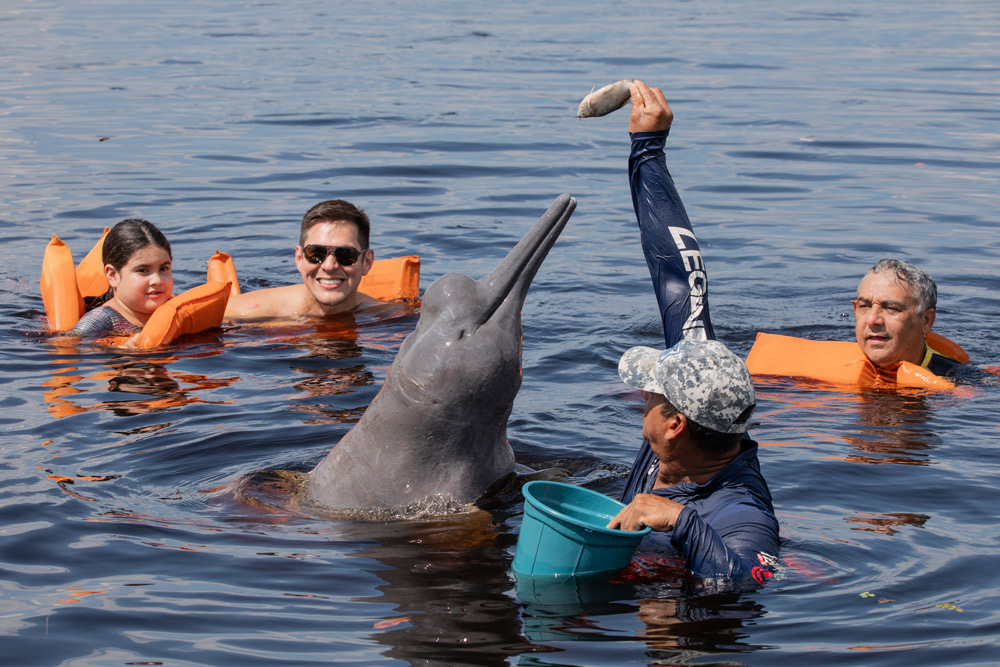 Guia Completo para o Passeio com Botos em Manaus