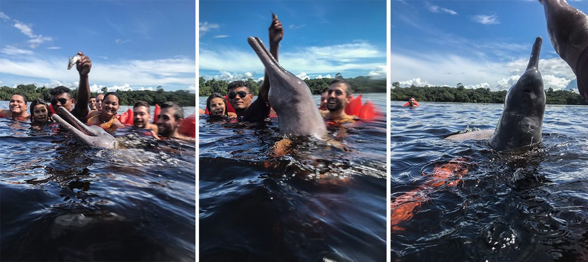 Os Melhores Restaurantes de Manaus para Saborear a Culinária Local