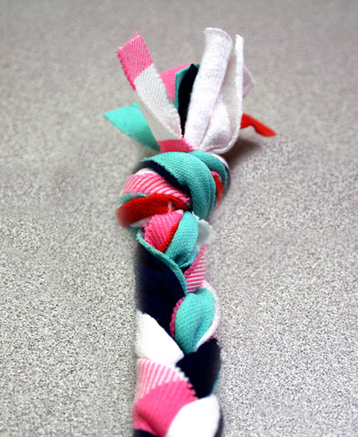 Brinquedo Interativo com Garrafa PET: Estimule o Faro do Seu Cão