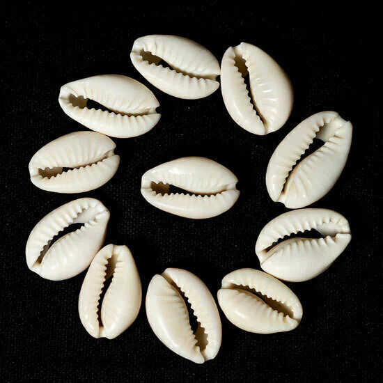 conchas de búzio significado