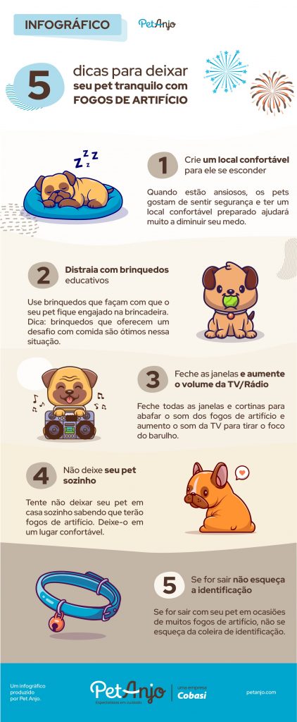 5 formas de criar um refúgio seguro para seu cão