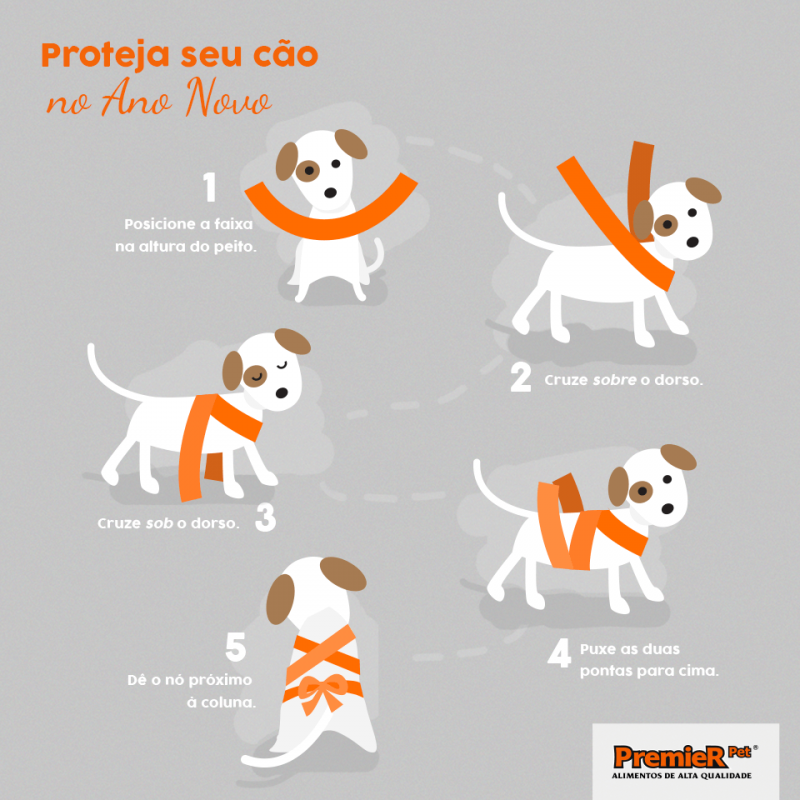 Quando procurar um veterinário para o medo de fogos do seu cachorro