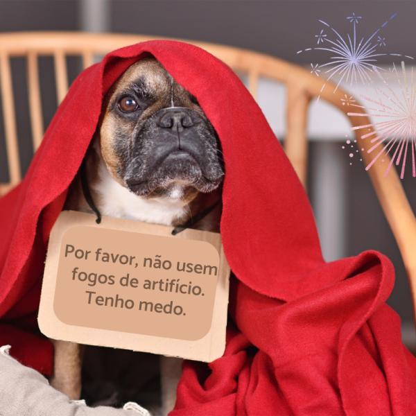 5 formas de criar um refúgio seguro para seu cão