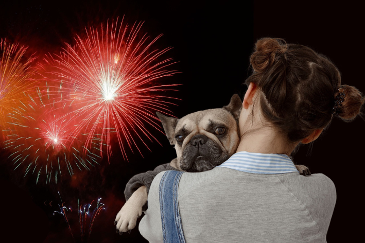 Os melhores petiscos para distrair cães assustados