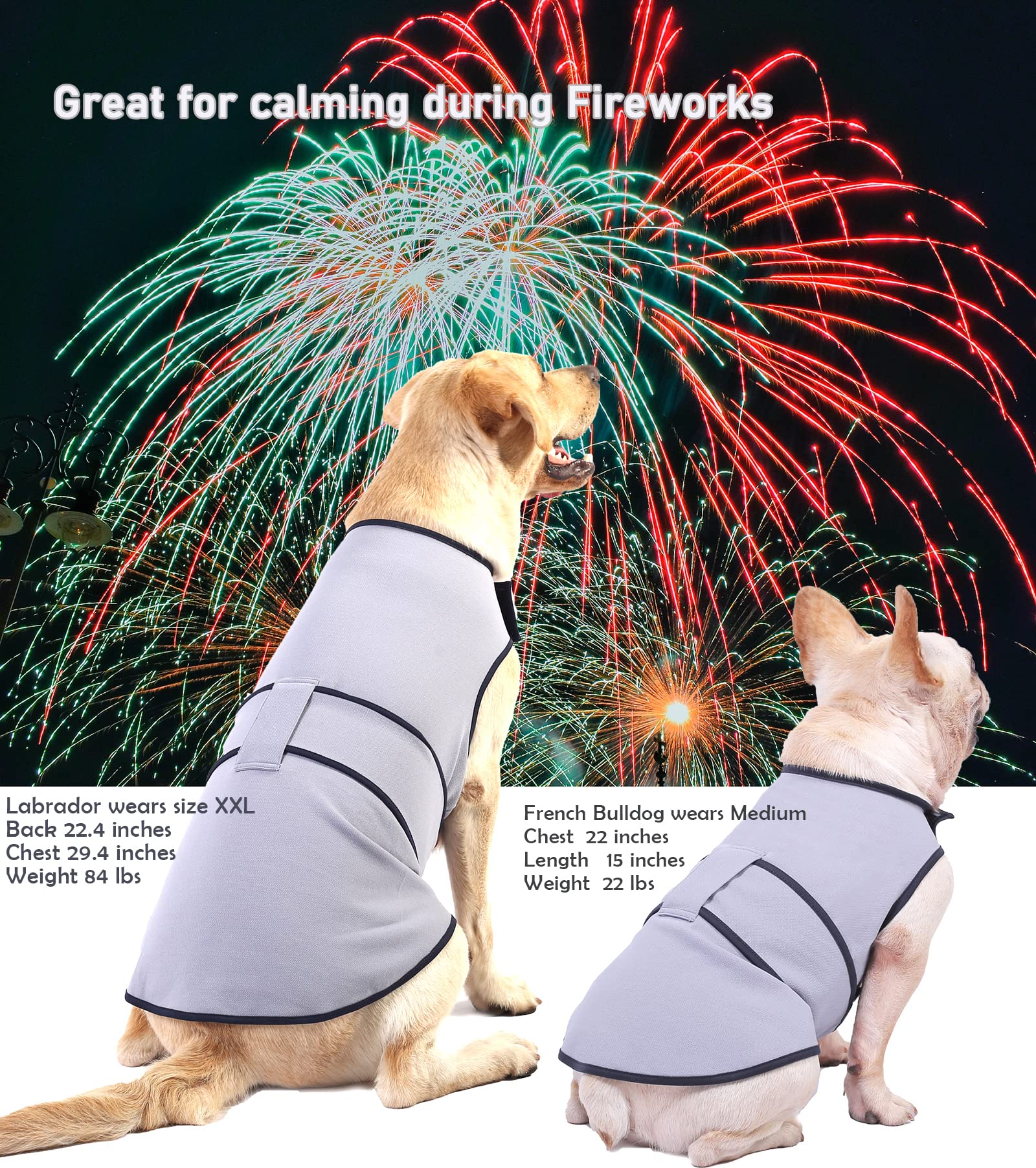 cachorro com medo de trovão camisa de força