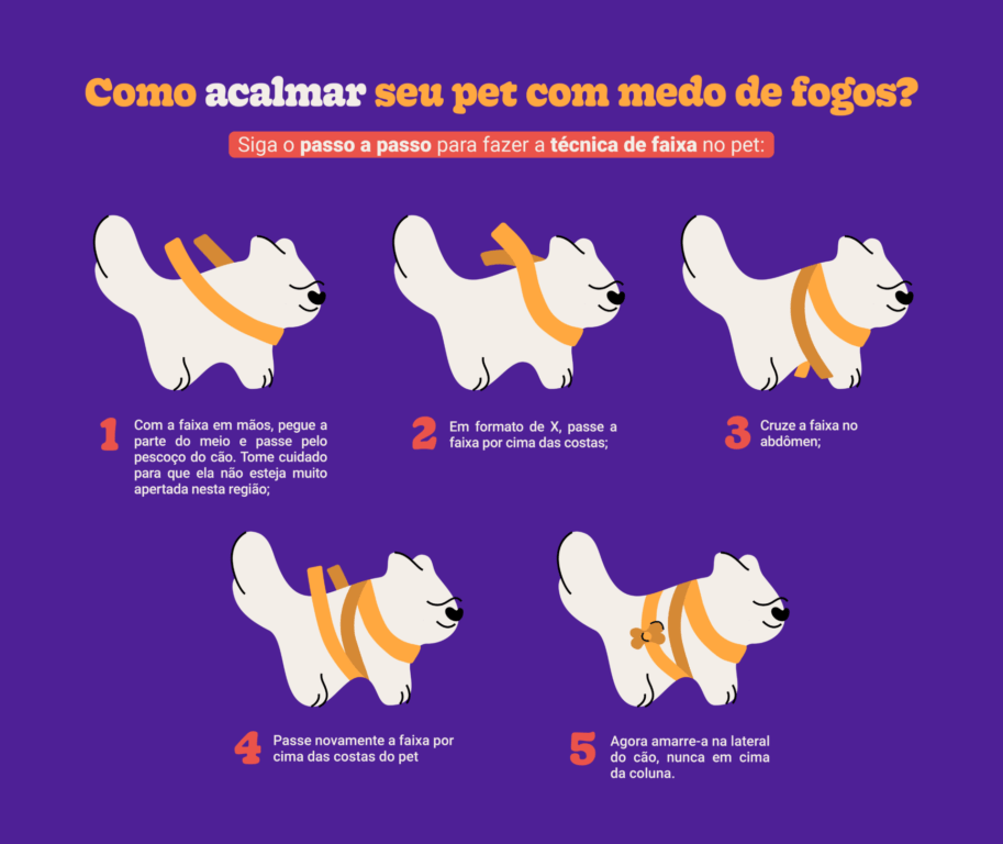 Brinquedos e petiscos que ajudam a reduzir a ansiedade em cães