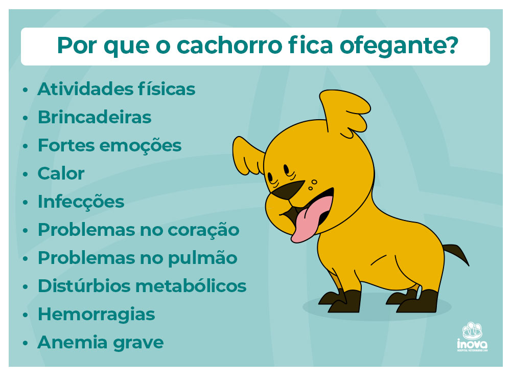 cachorro sonha e treme