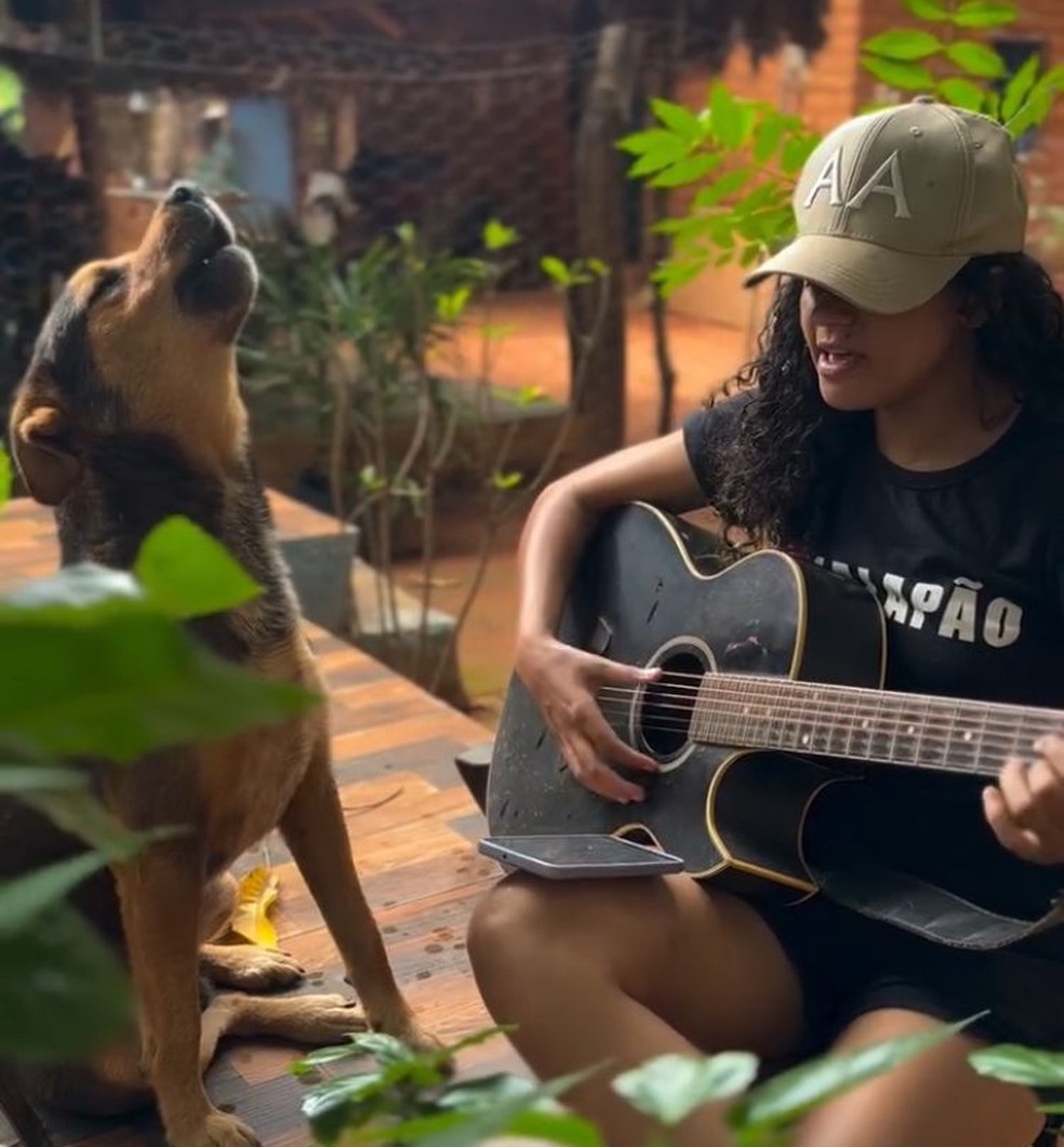 Sirenes e Comunicação.
4. Seu Cão Canta Junto? Descubra os Motivos Por Trás do Uivo.
5. Música e Cães: Uma Conexão Sonora Que Leva ao Uivo.