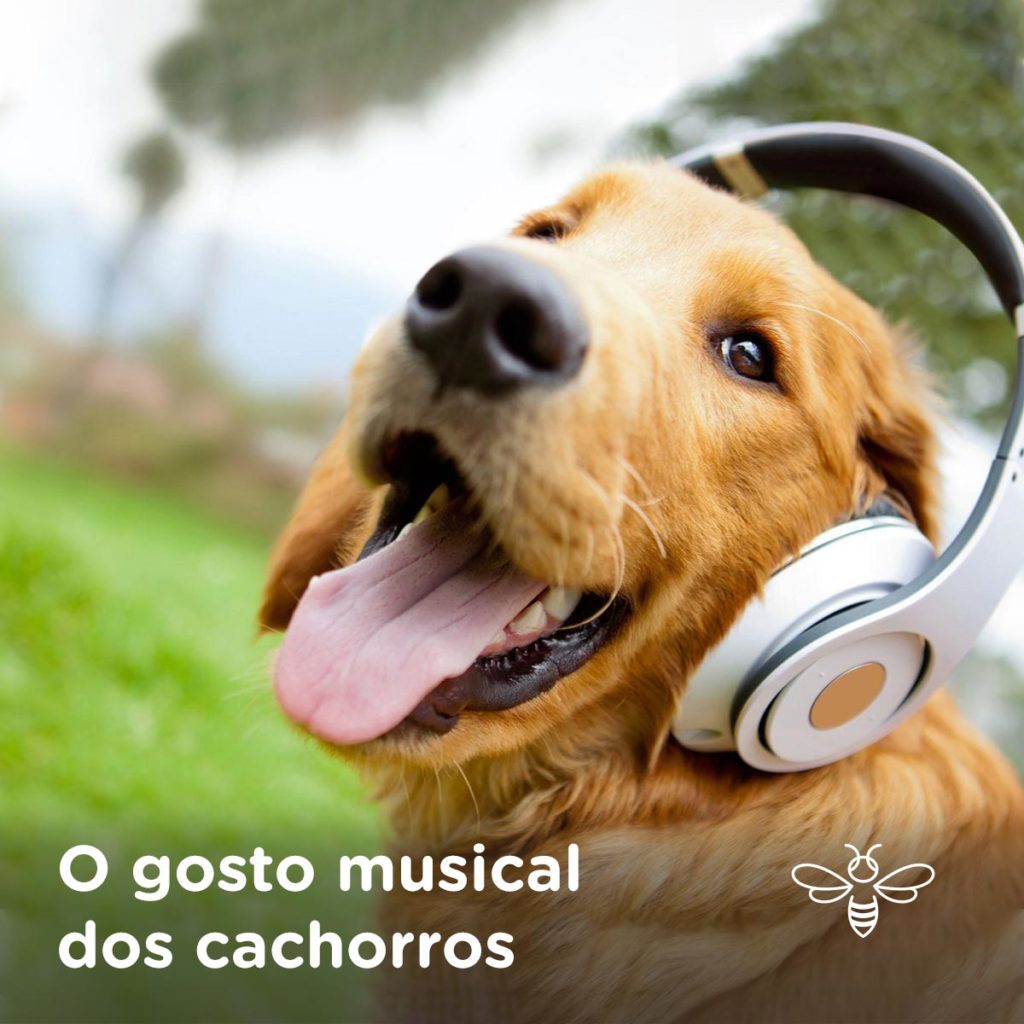 cachorro uivando com música
