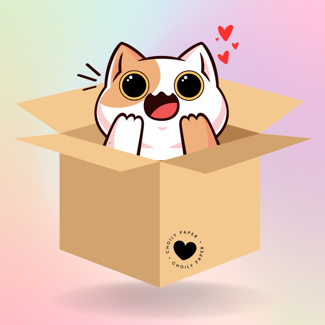 caixa surpresa papelaria kawaii
