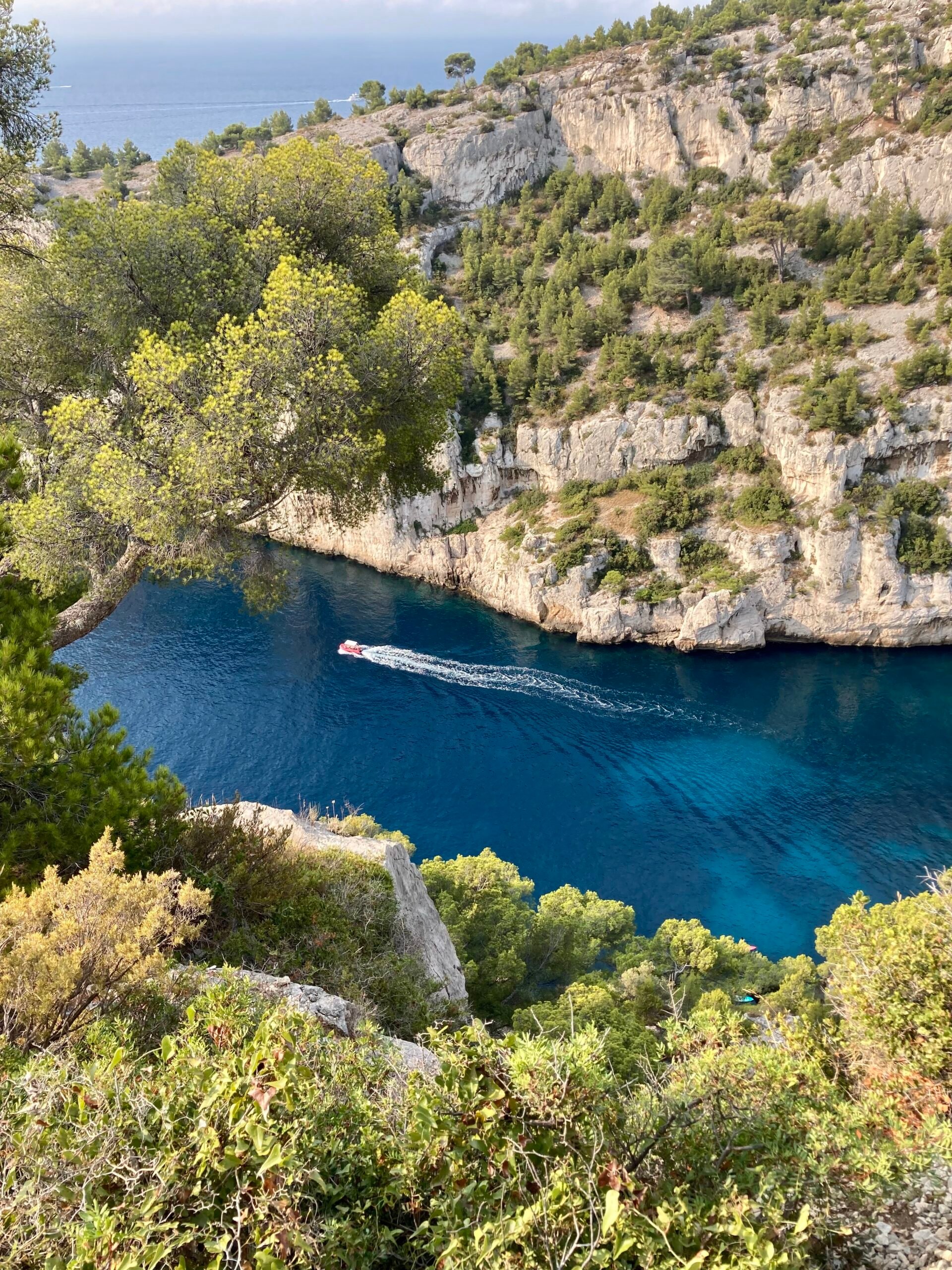 Cassis Moda Feminina