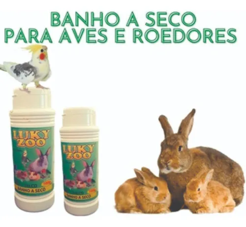 Frequência e técnica correta do banho seco em chinchilas