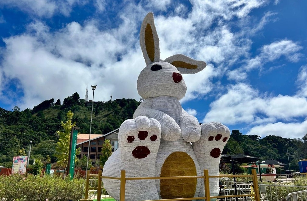 Guia completo de decoração de Páscoa para áreas externas