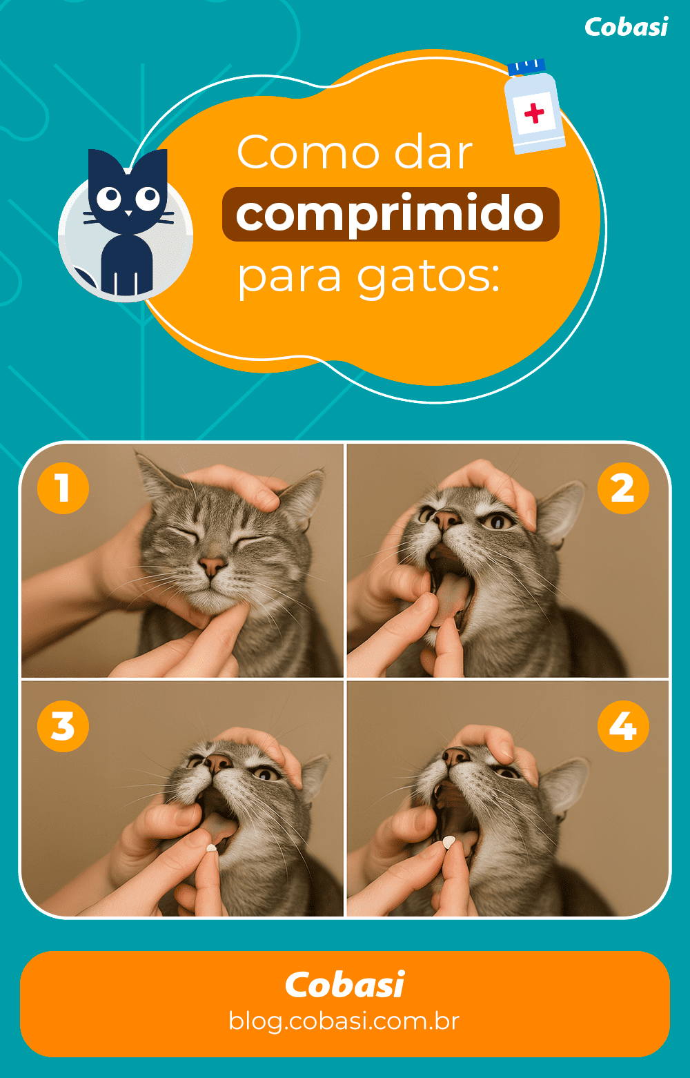 como dar remédio para gato sem ser arranhado (técnica)