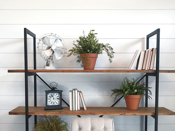 Plantas para Estantes: As Melhores Espécies e Como Cuidar