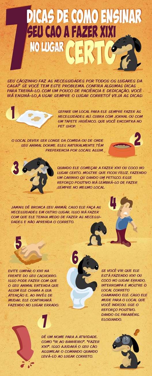 Reforço Positivo: A Chave para o Sucesso no Adestramento Sanitário Canino