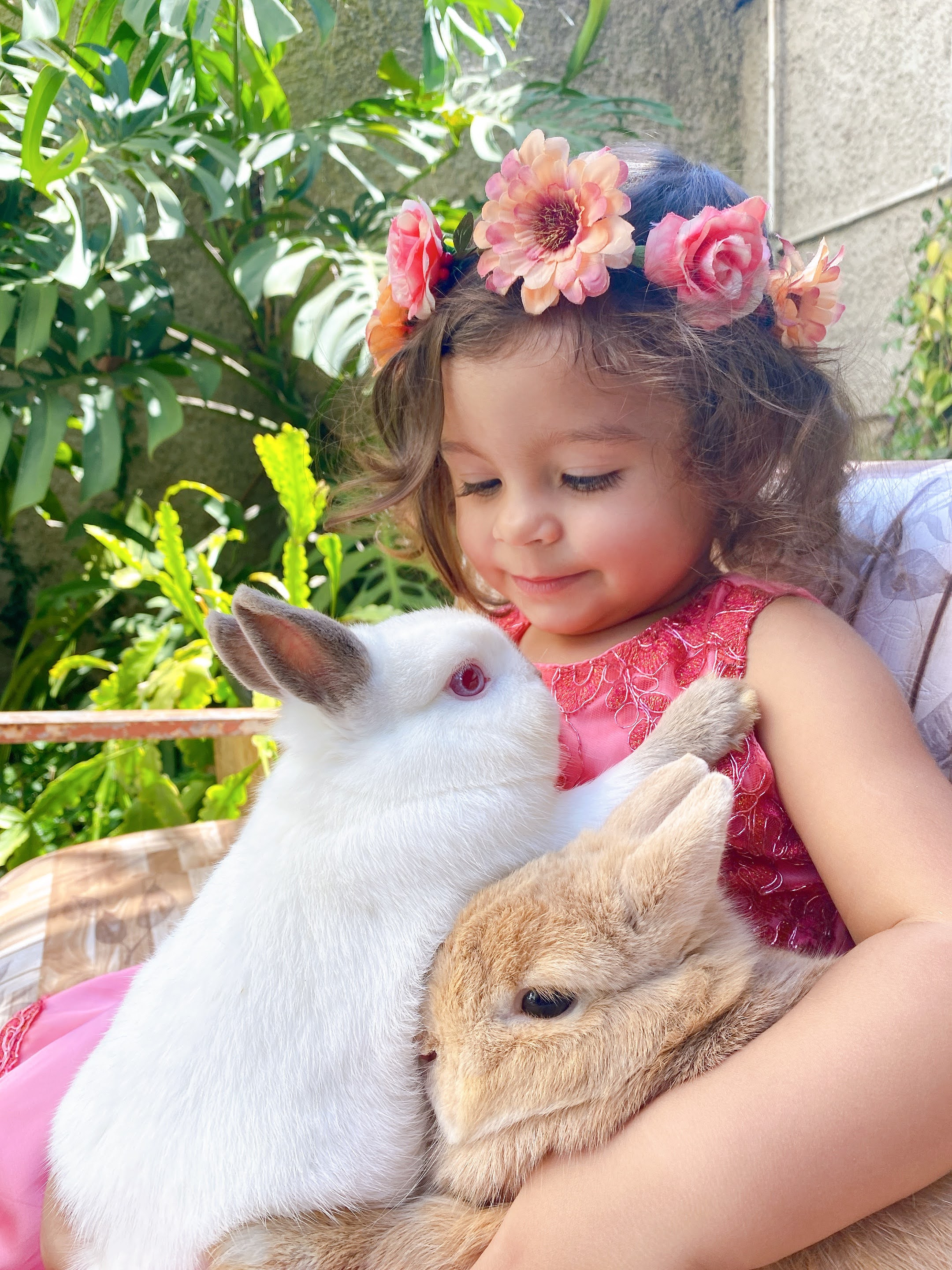 5 Benefícios do Treinamento para Coelhos