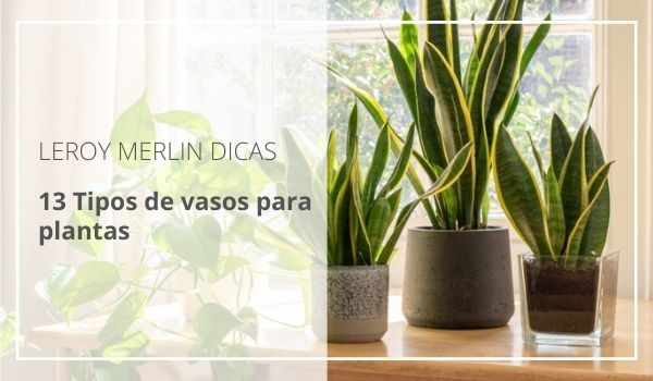 como escolher o melhor tipo de vaso para cada planta
