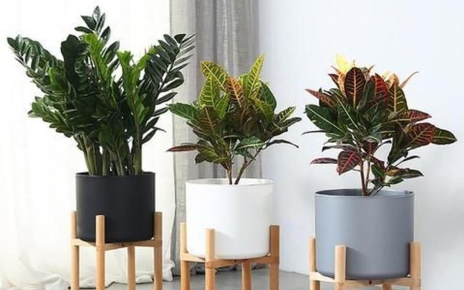 erros comuns ao escolher vaso de planta