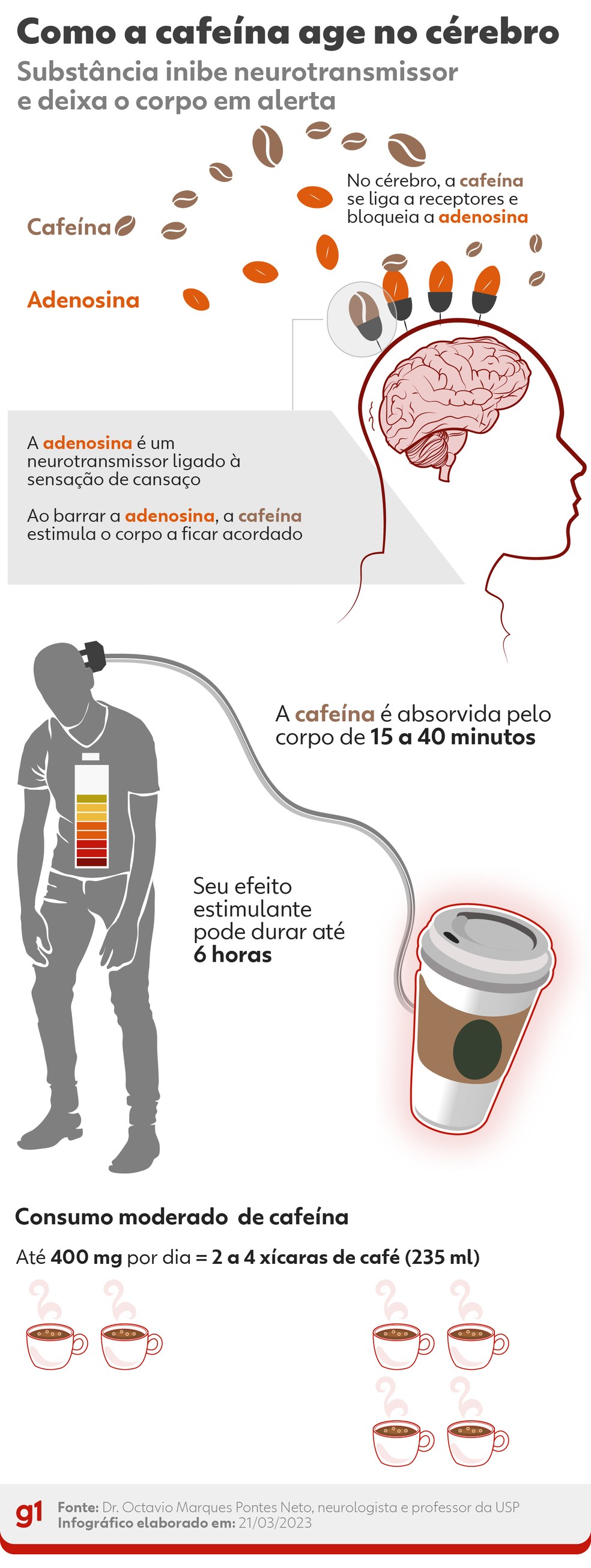 1. Os Melhores Chás para Substituir o Café e Combater a Ansiedade