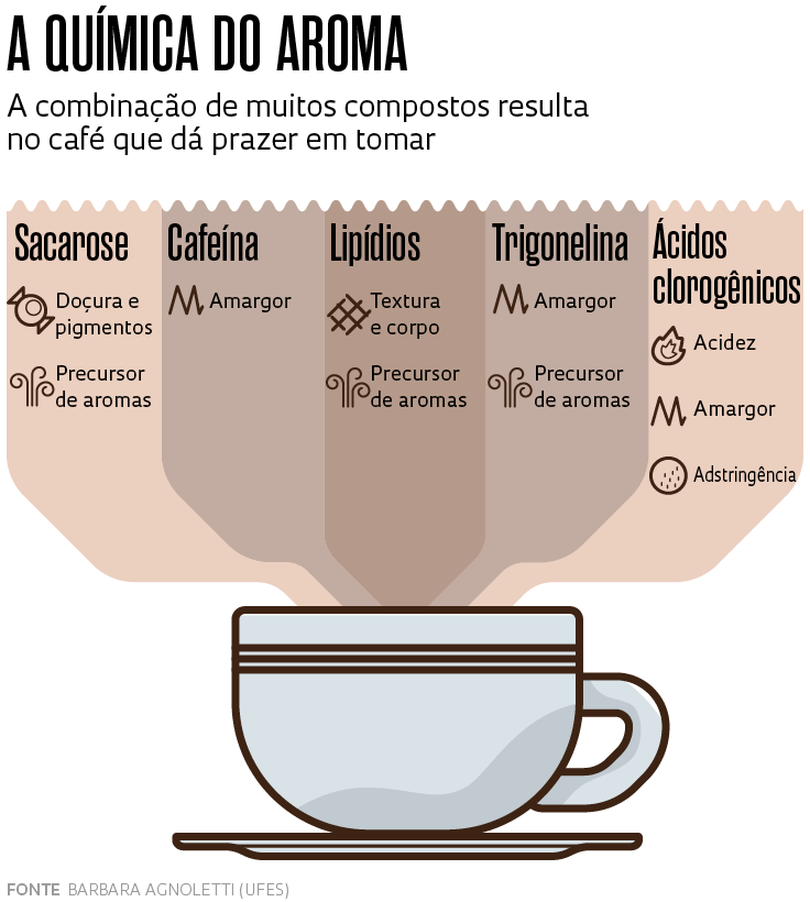 3. Café Arábica vs. Robusta: Qual a Melhor Opção para Sua Ansiedade?