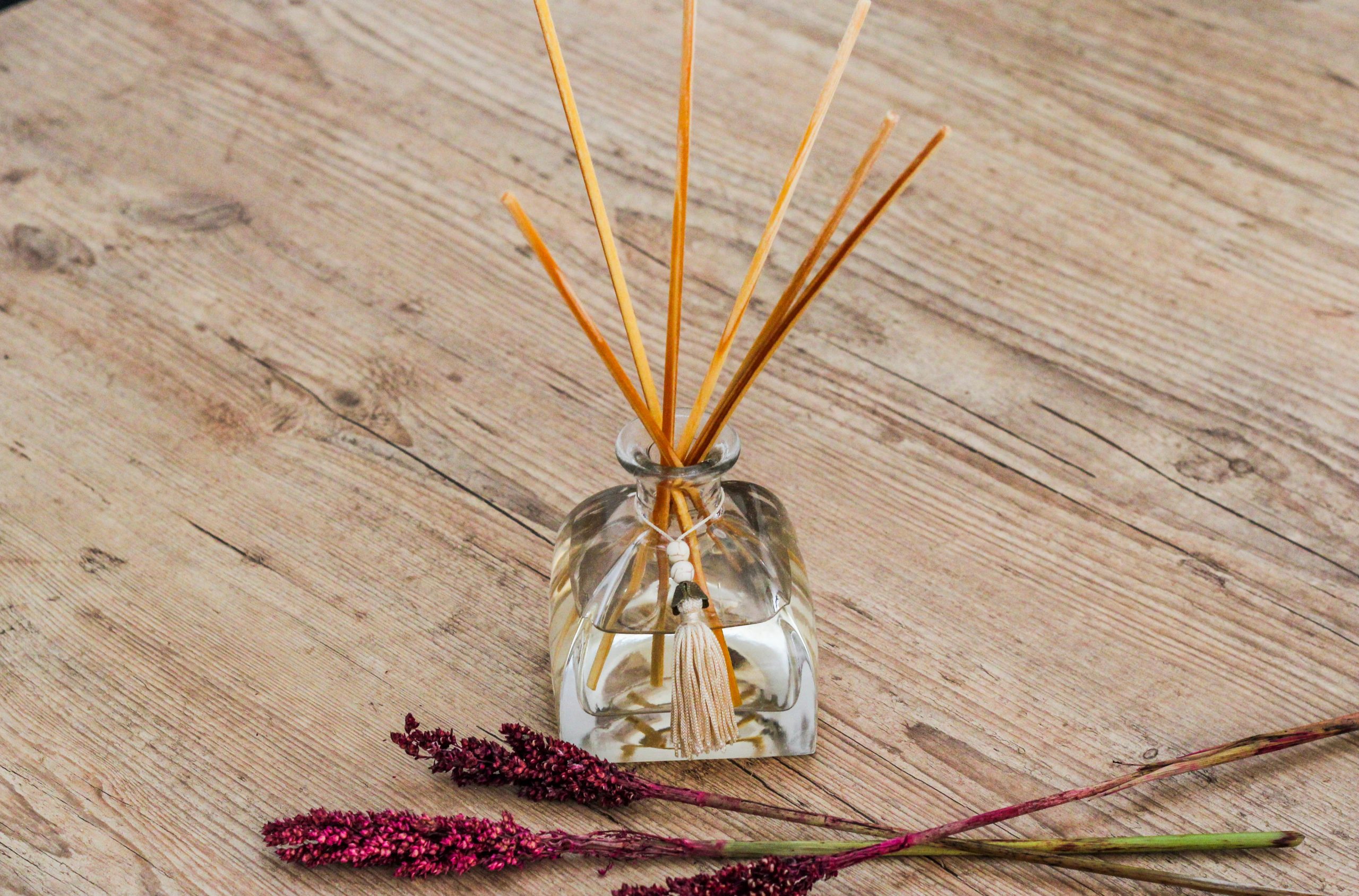 Guia completo de óleos essenciais para aromatizadores