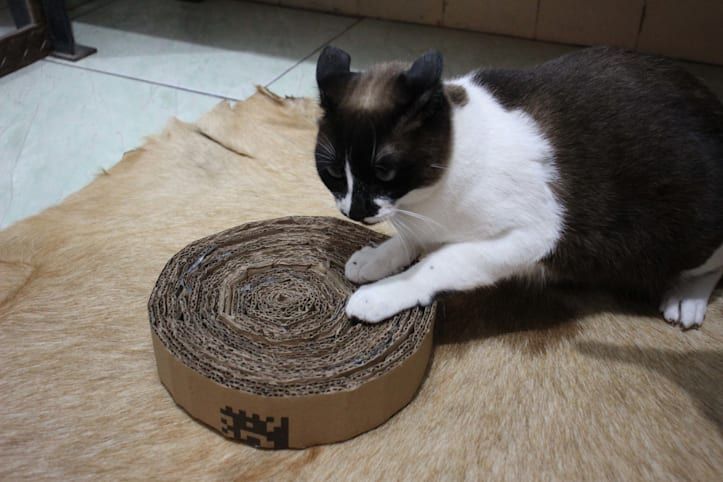 como fazer arranhador de papelão ondulado