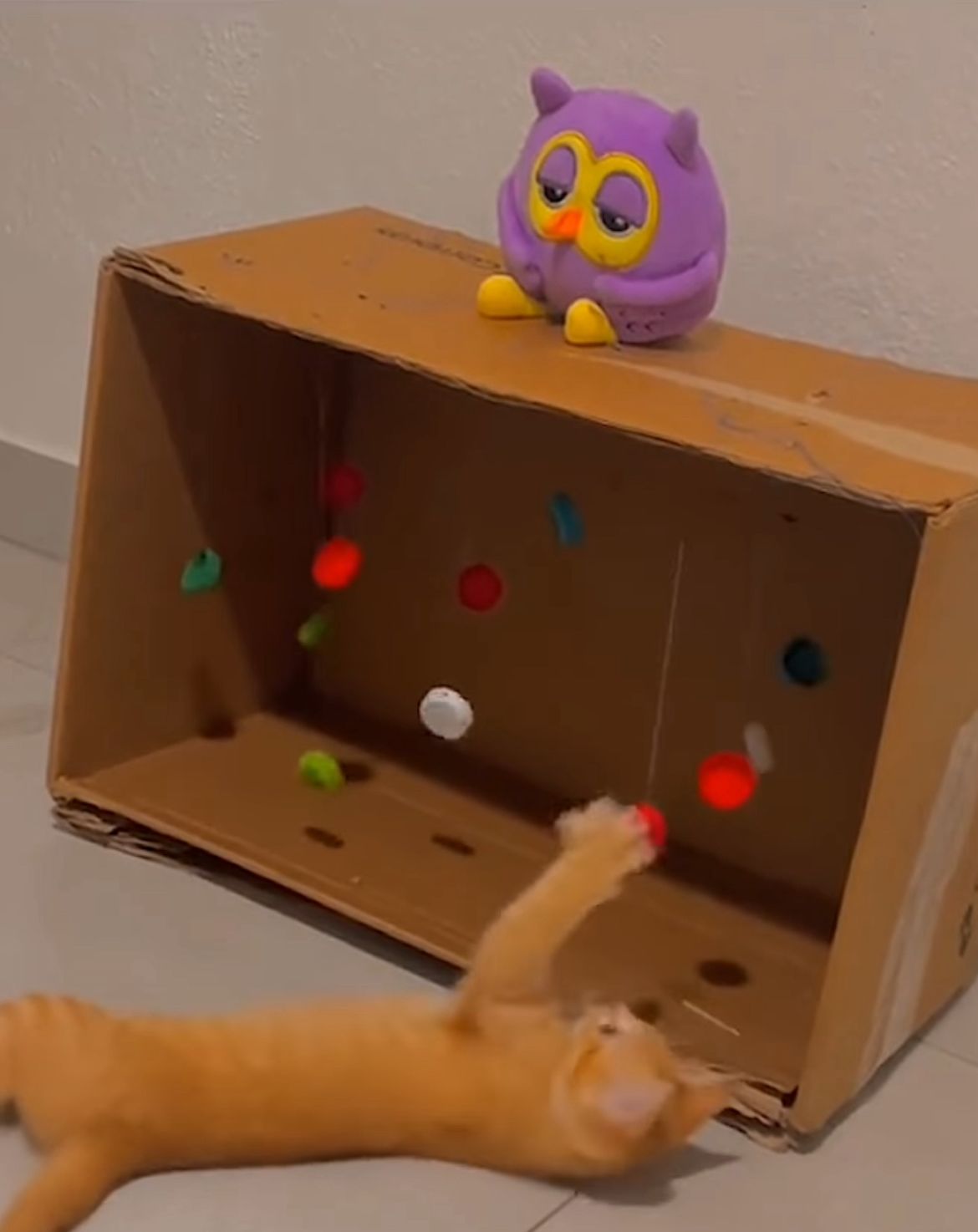 como fazer arranhador para gatos com caixa de papelão