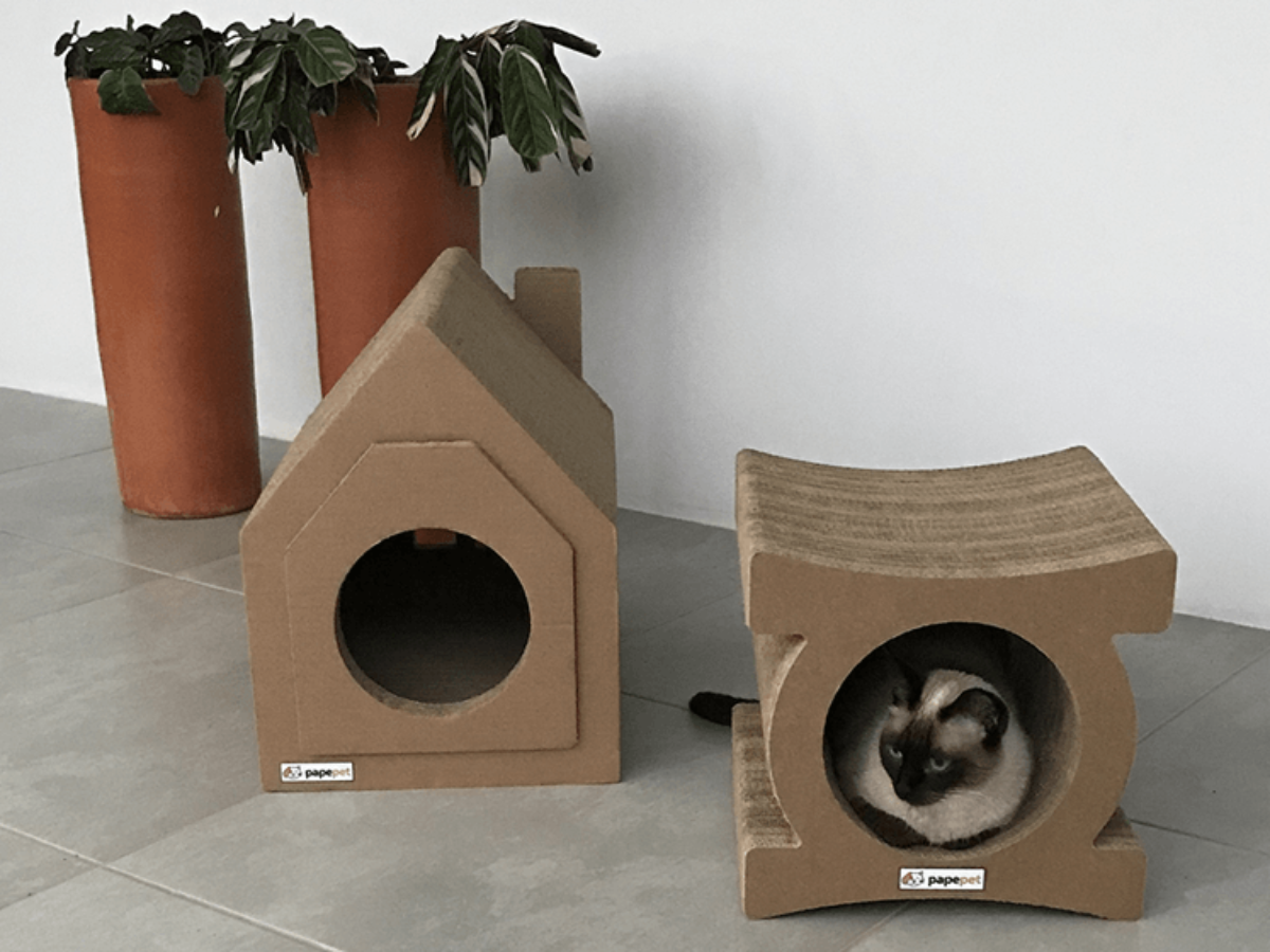 brinquedos para gatos com rolos de papel higiênico