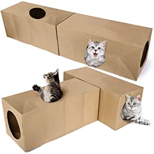 reutilizar caixas de ovo para pets