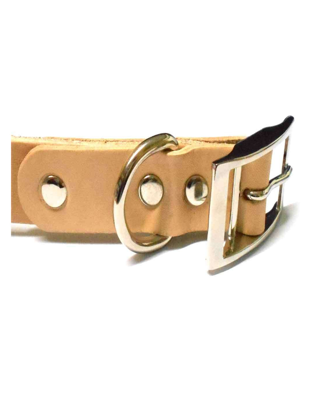 Biscuit para Artesanato Pet: Dicas e Técnicas